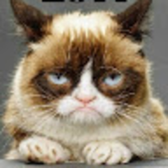 Meet your Posher, Hayden - Picture 1 of 1